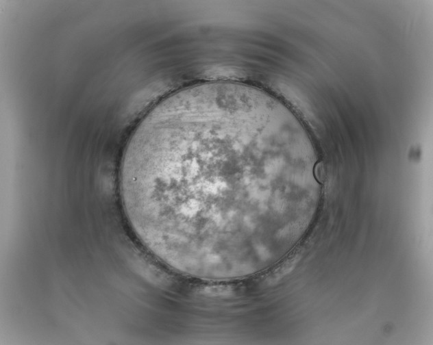 X0000090430353200707272136