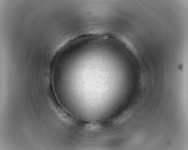 X0000090430354200707272136