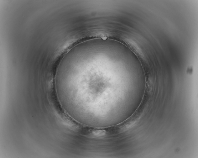 X0000090430355200707272136