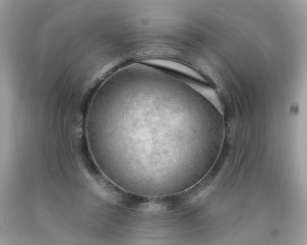 X0000090430356200707272136