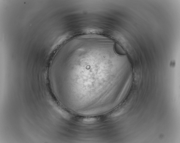 X0000090430357200707272136