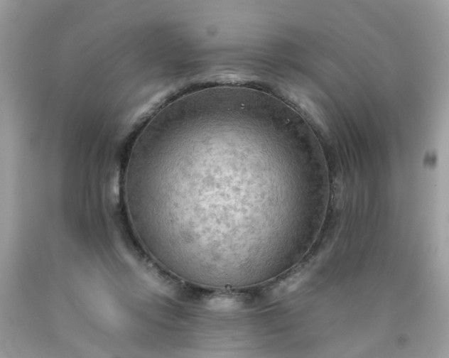 X0000090430358200707272136