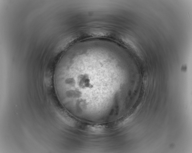 X0000090430359200707272136