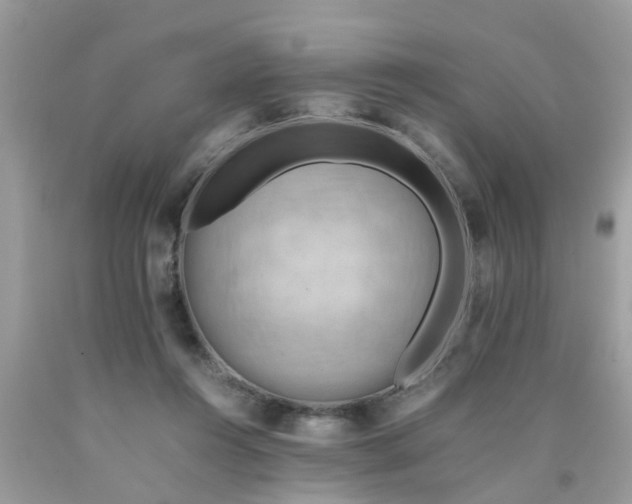 X0000090430360200707272136