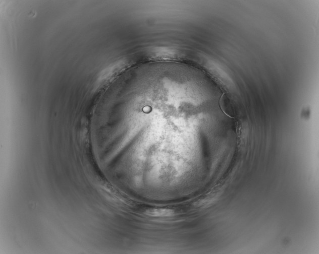 X0000090430361200707272136