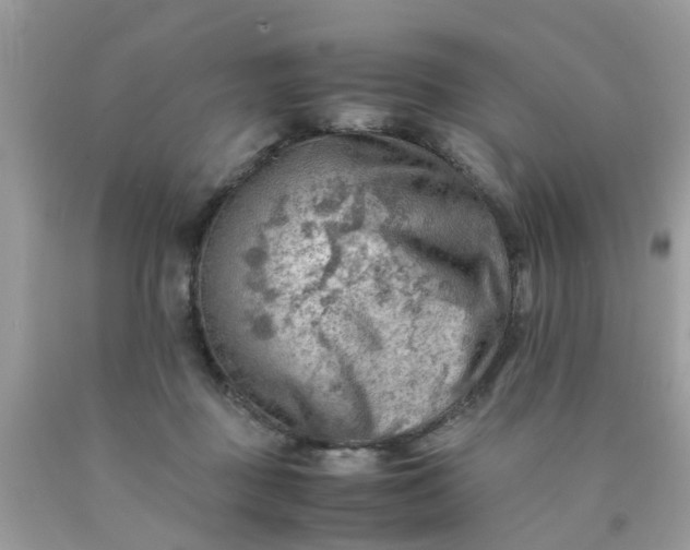 X0000090430363200707272136