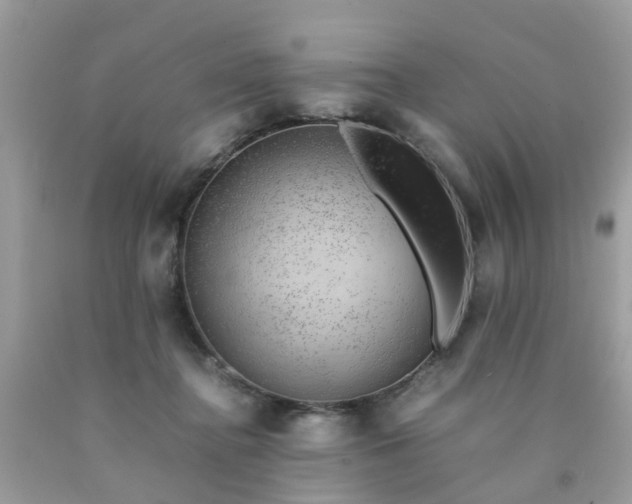 X0000090430364200707272136