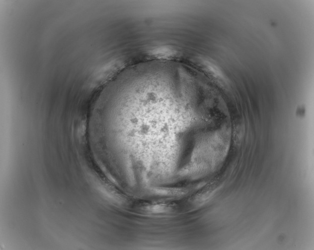 X0000090430365200707272136