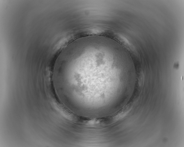 X0000090430366200707272136