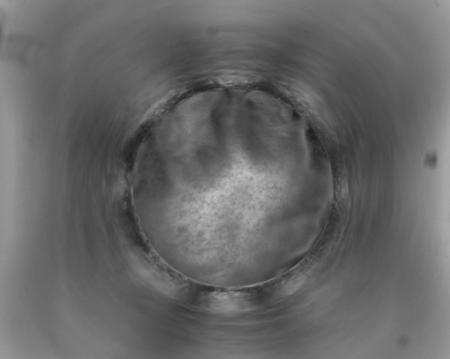 X0000090430367200707272136