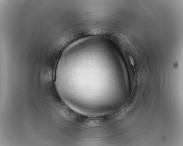 X0000090430368200707272136