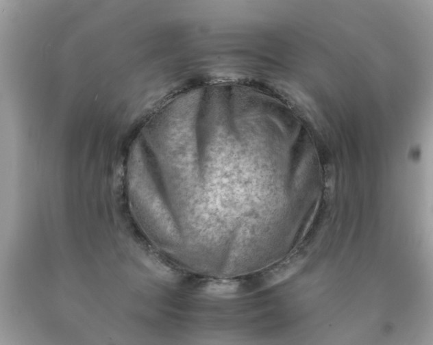 X0000090430369200707272136