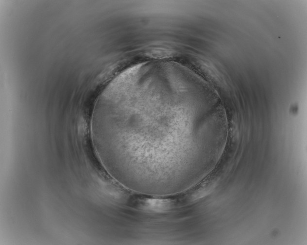 X0000090430371200707272136