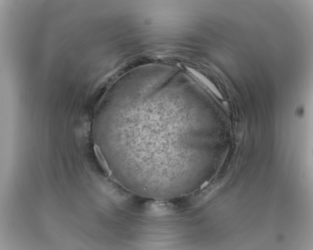 X0000090430372200707272137