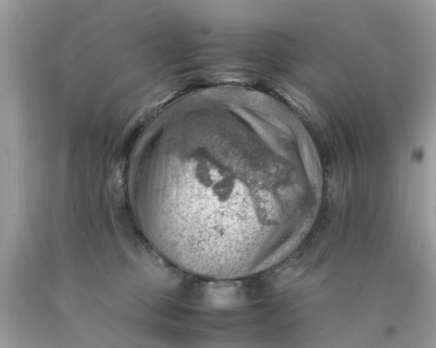 X0000090430373200707272137