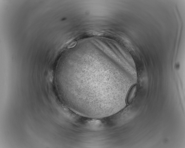 X0000090430374200707272137