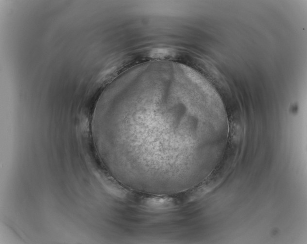 X0000090430375200707272137