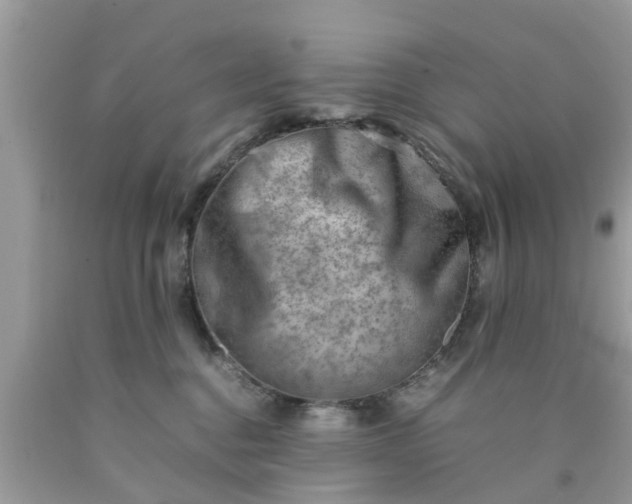 X0000090430376200707272137