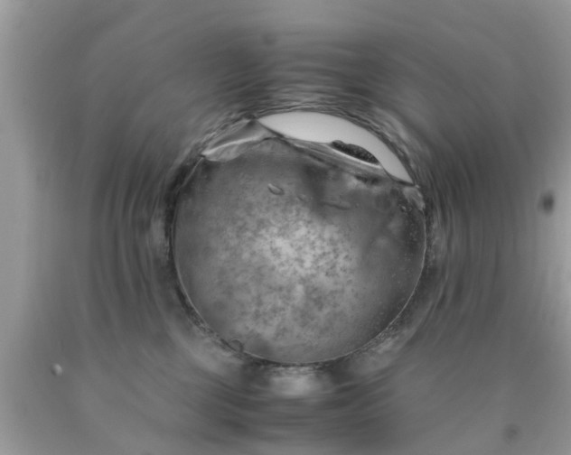 X0000090430377200707272137