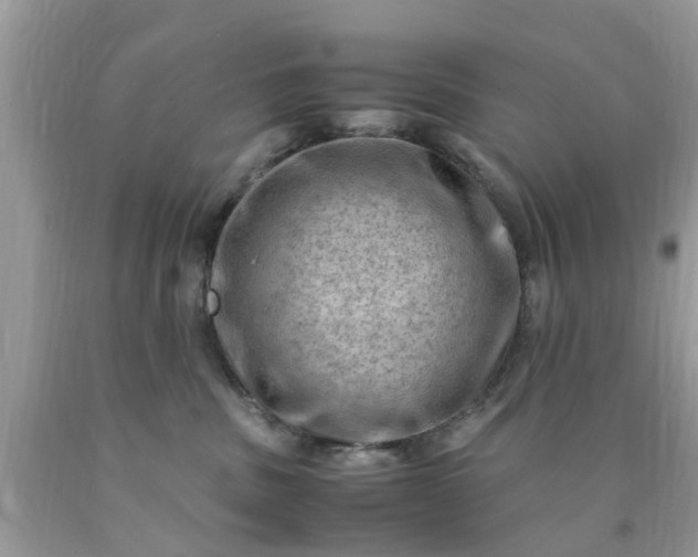 X0000090430379200707272137