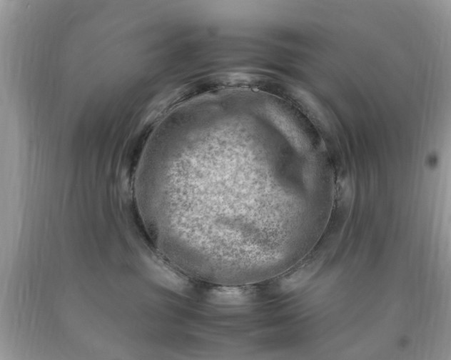 X0000090430381200707272137