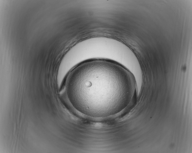 X0000090430382200707272137