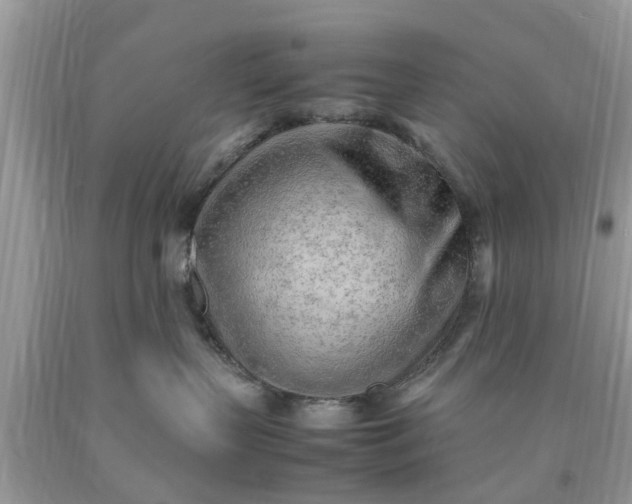 X0000090430383200707272137