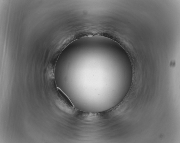 X0000090430384200707272137