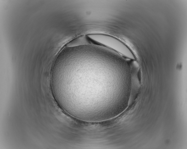 X0000090430385200707272136