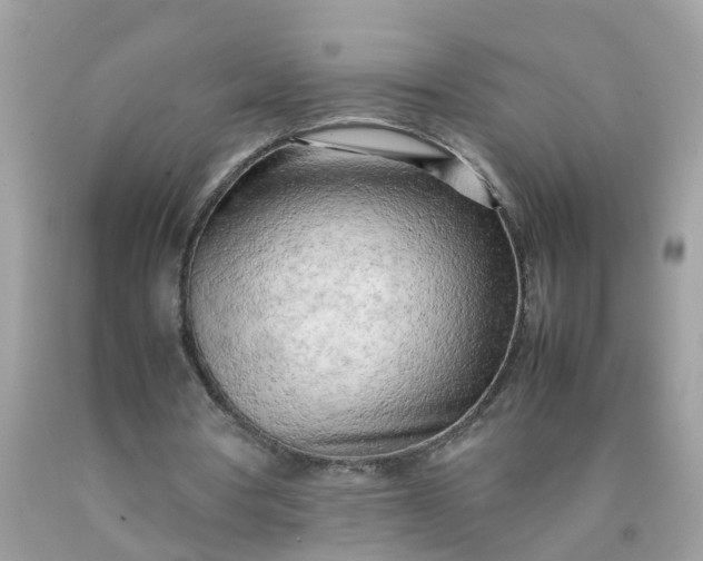 X0000090430386200707272136