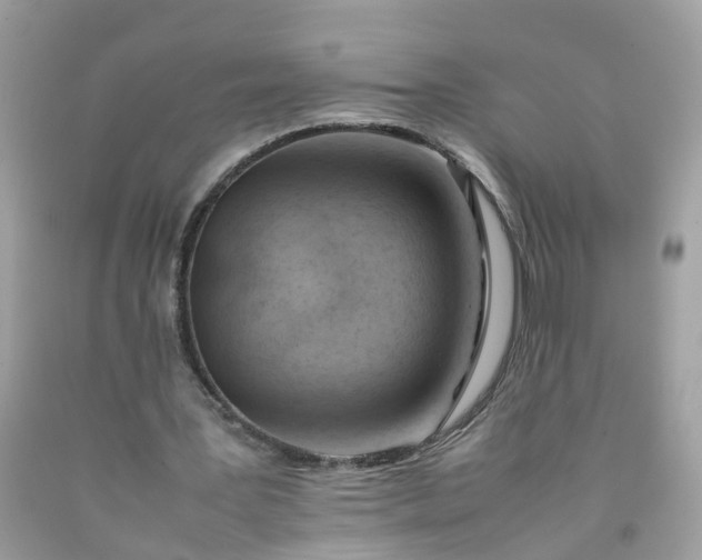 X0000090430387200707272136