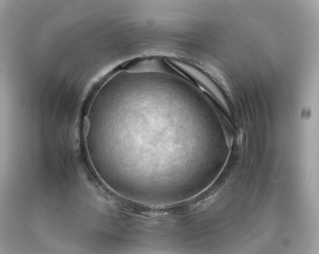 X0000090430388200707272136