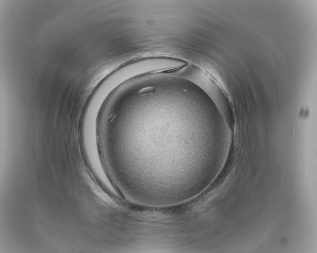 X0000090430389200707272136