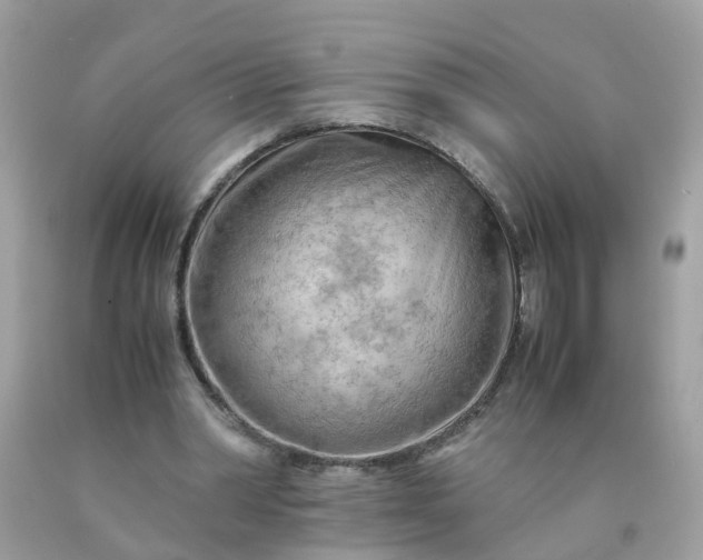 X0000090430390200707272136