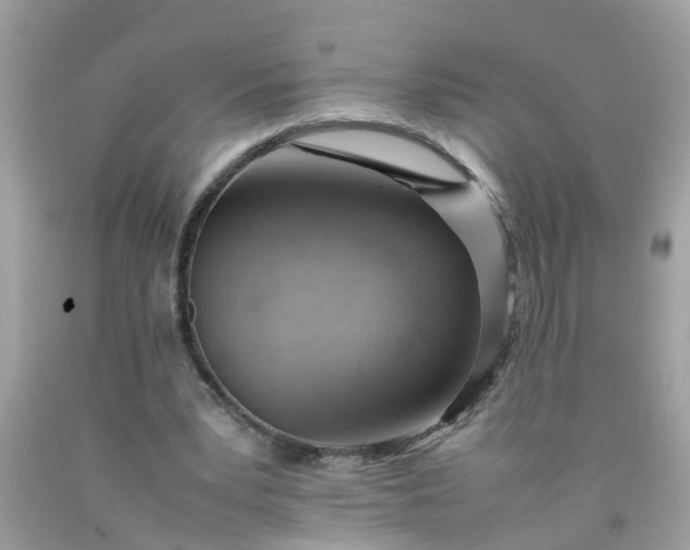 X0000090430391200707272136