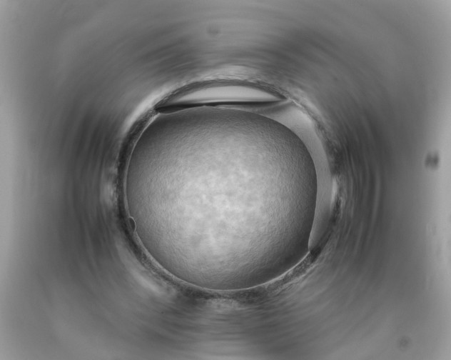 X0000090430392200707272136