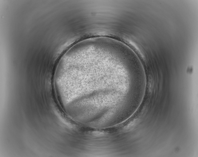 X0000090430394200707272136