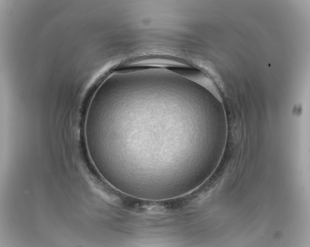 X0000090430395200707272136