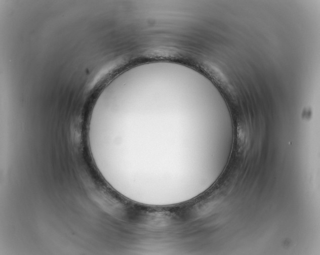 X0000090430396200707272136