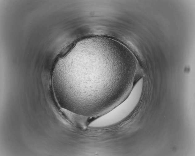 X0000090430397200707272136