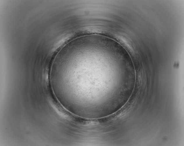 X0000090430398200707272136