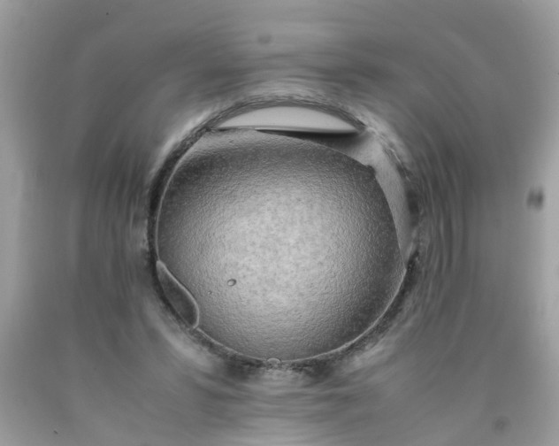 X0000090430399200707272136