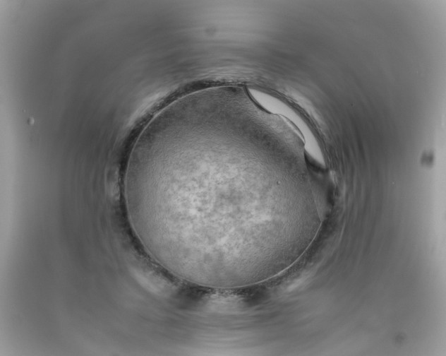 X0000090430403200707272136