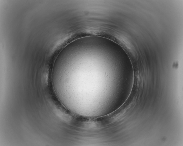 X0000090430404200707272136