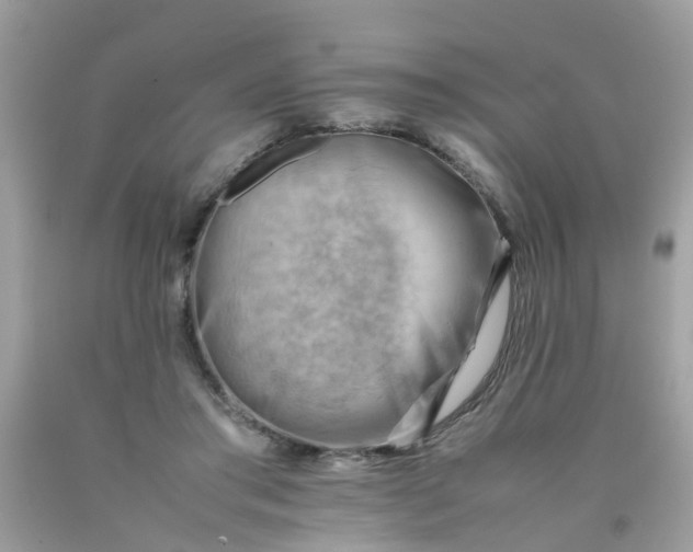 X0000090430405200707272136