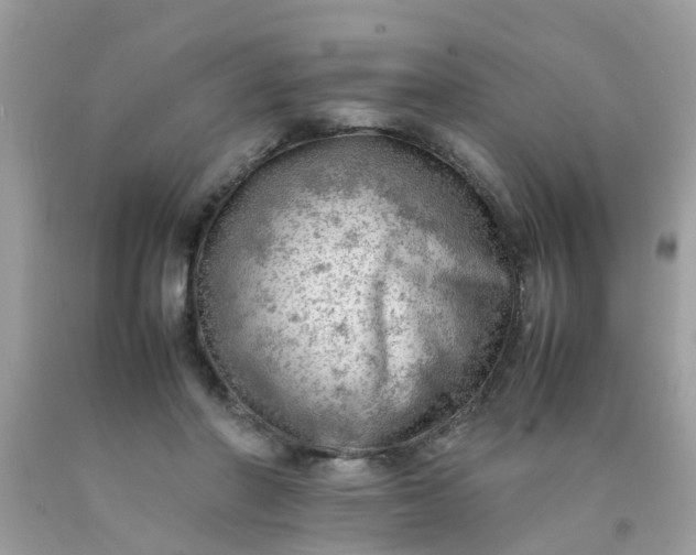 X0000090430406200707272136