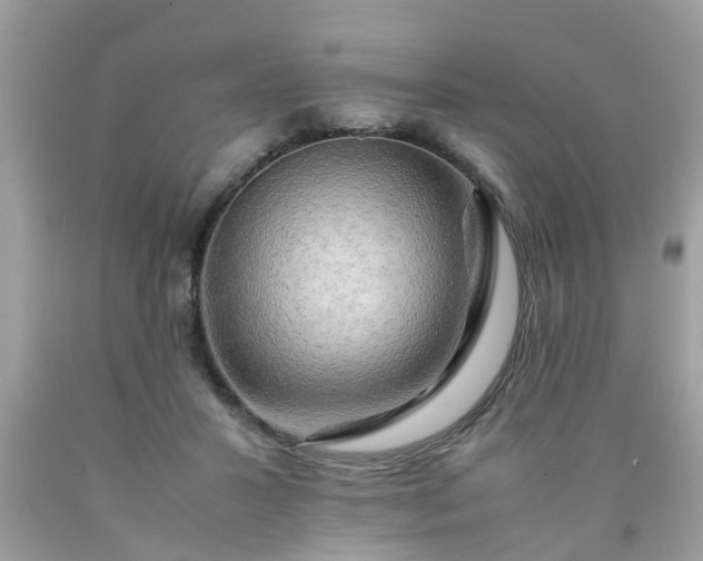 X0000090430407200707272136