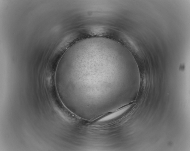 X0000090430408200707272136