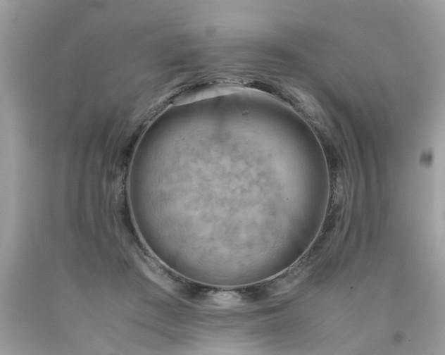 X0000090430409200707272136