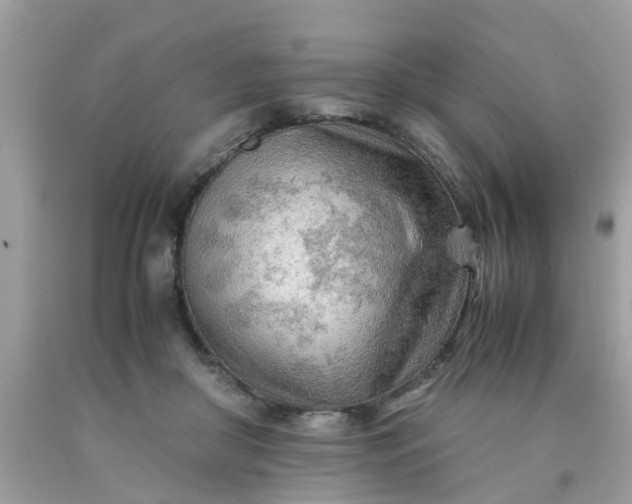 X0000090430410200707272136